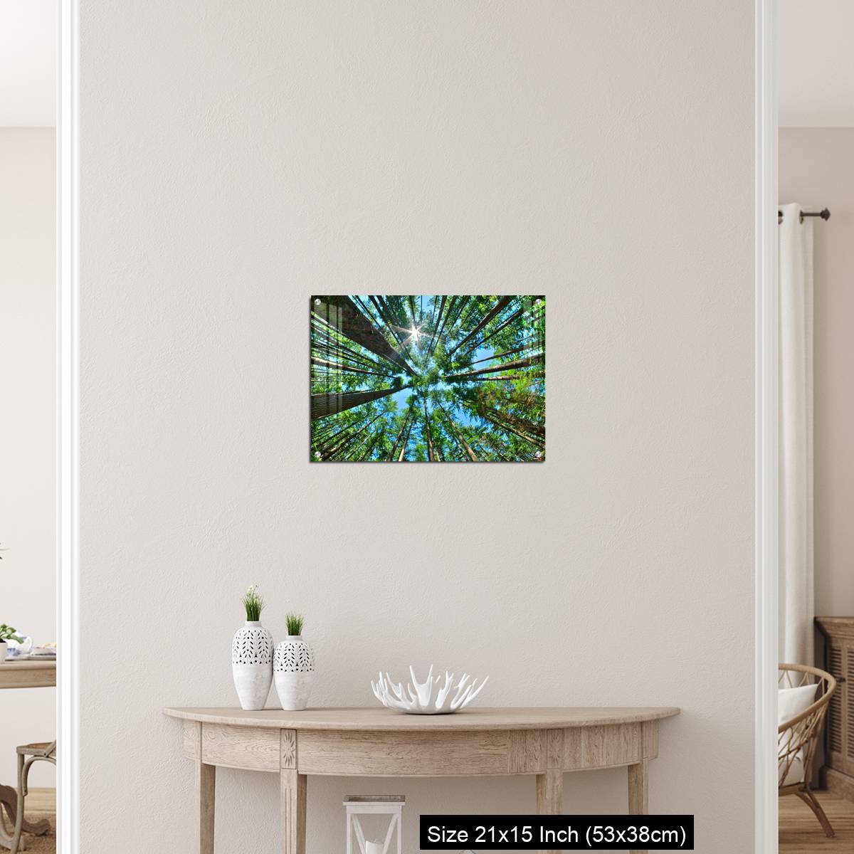 OMGs Acrylic Wall Decor – Look up in a dense pine forest - Image 19