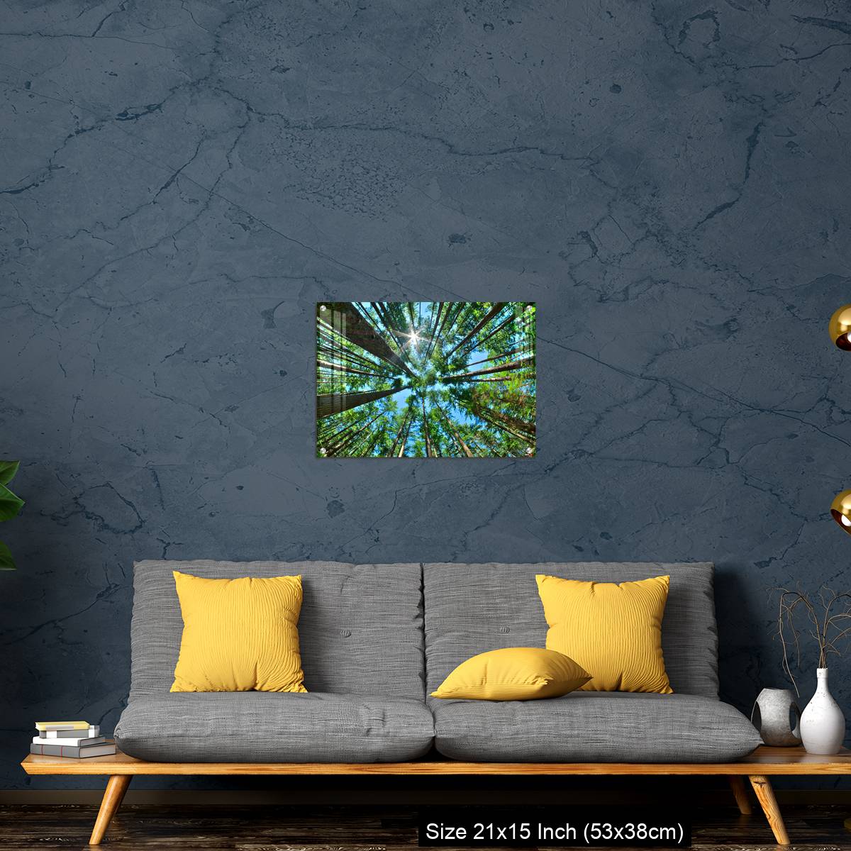 OMGs Acrylic Wall Decor – Look up in a dense pine forest - Image 21