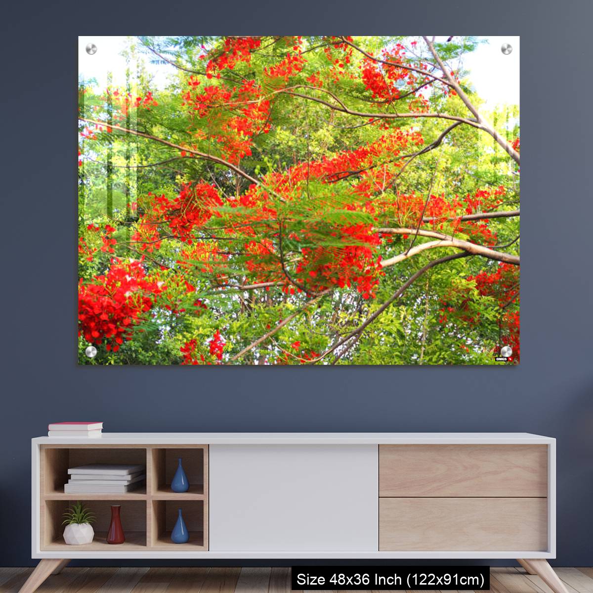 OMGs Acrylic Wall Decor – Beautiful of peacock flower with  blue sky background.