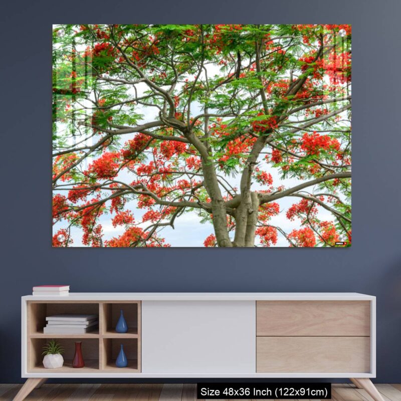 OMGs Acrylic Wall Decor – red flowers of flame tree