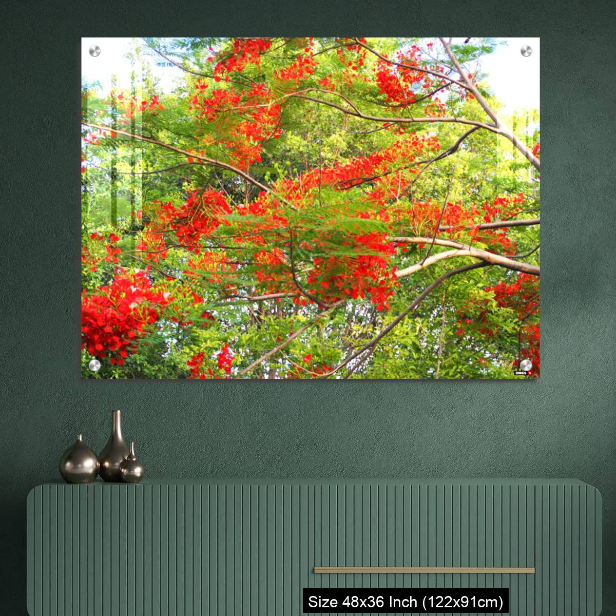 OMGs Acrylic Wall Decor – Beautiful of peacock flower with  blue sky background. - Image 2