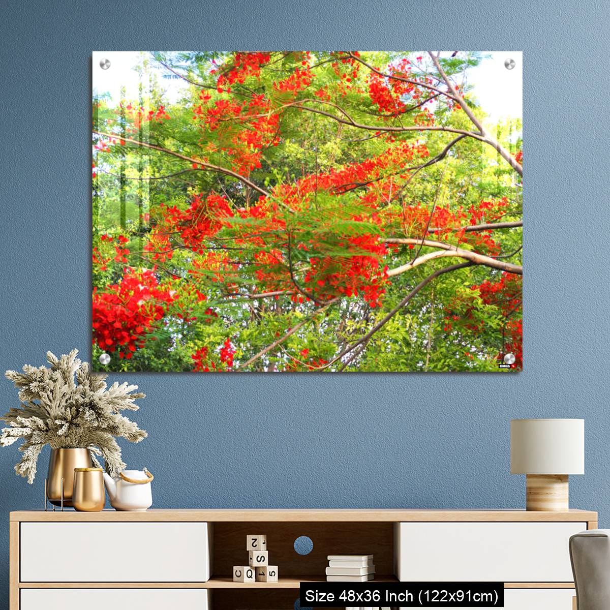 OMGs Acrylic Wall Decor – Beautiful of peacock flower with  blue sky background. - Image 3