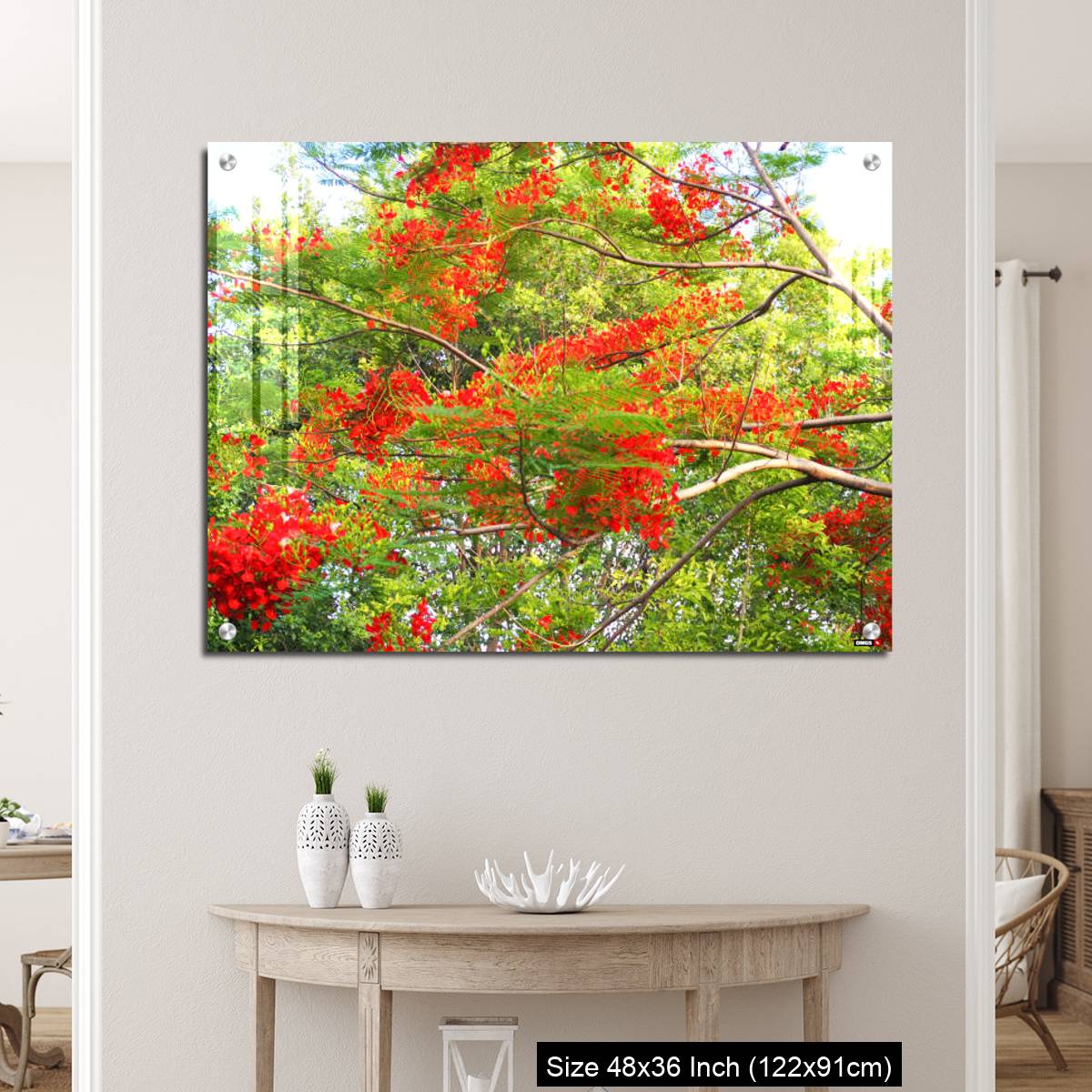 OMGs Acrylic Wall Decor – Beautiful of peacock flower with  blue sky background. - Image 5