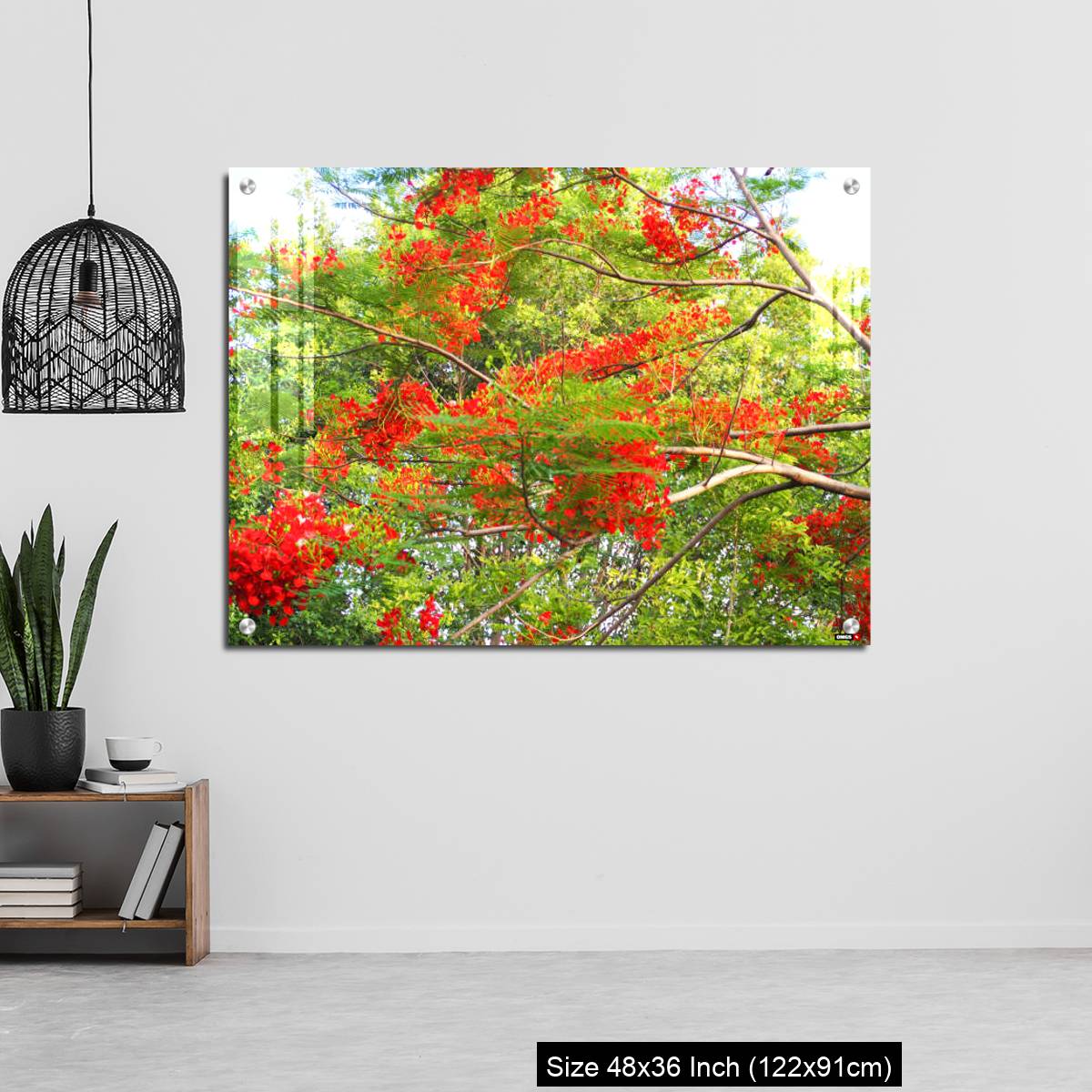 OMGs Acrylic Wall Decor – Beautiful of peacock flower with  blue sky background. - Image 6