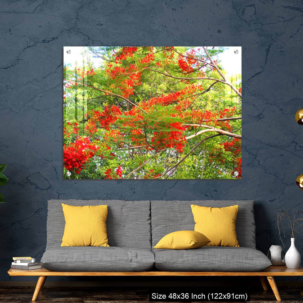 OMGs Acrylic Wall Decor – Beautiful of peacock flower with  blue sky background. - Image 7