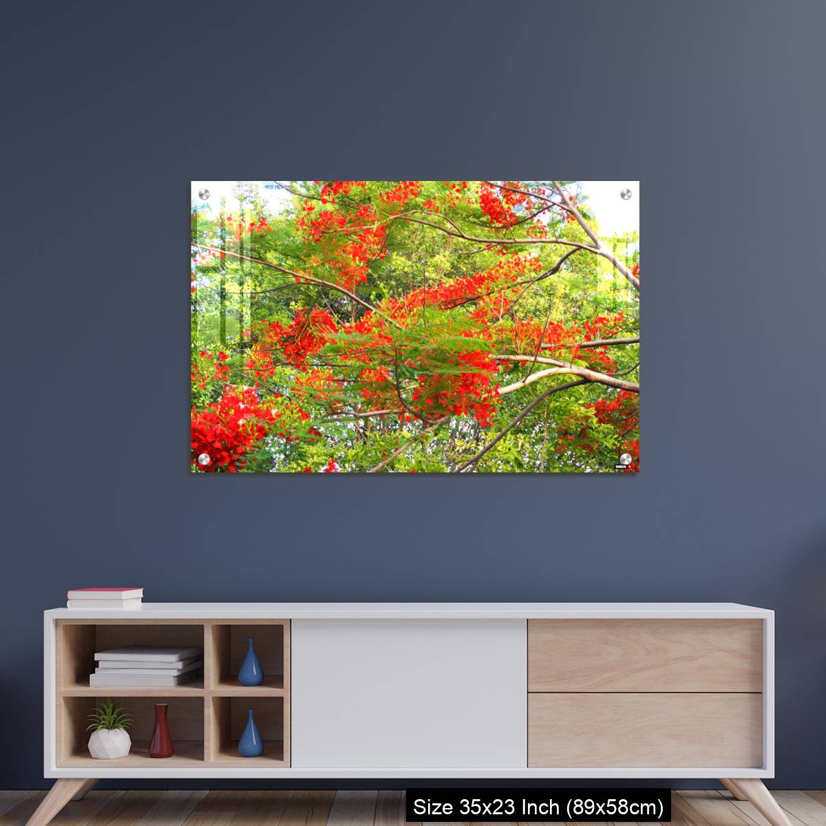 OMGs Acrylic Wall Decor – Beautiful of peacock flower with  blue sky background. - Image 8