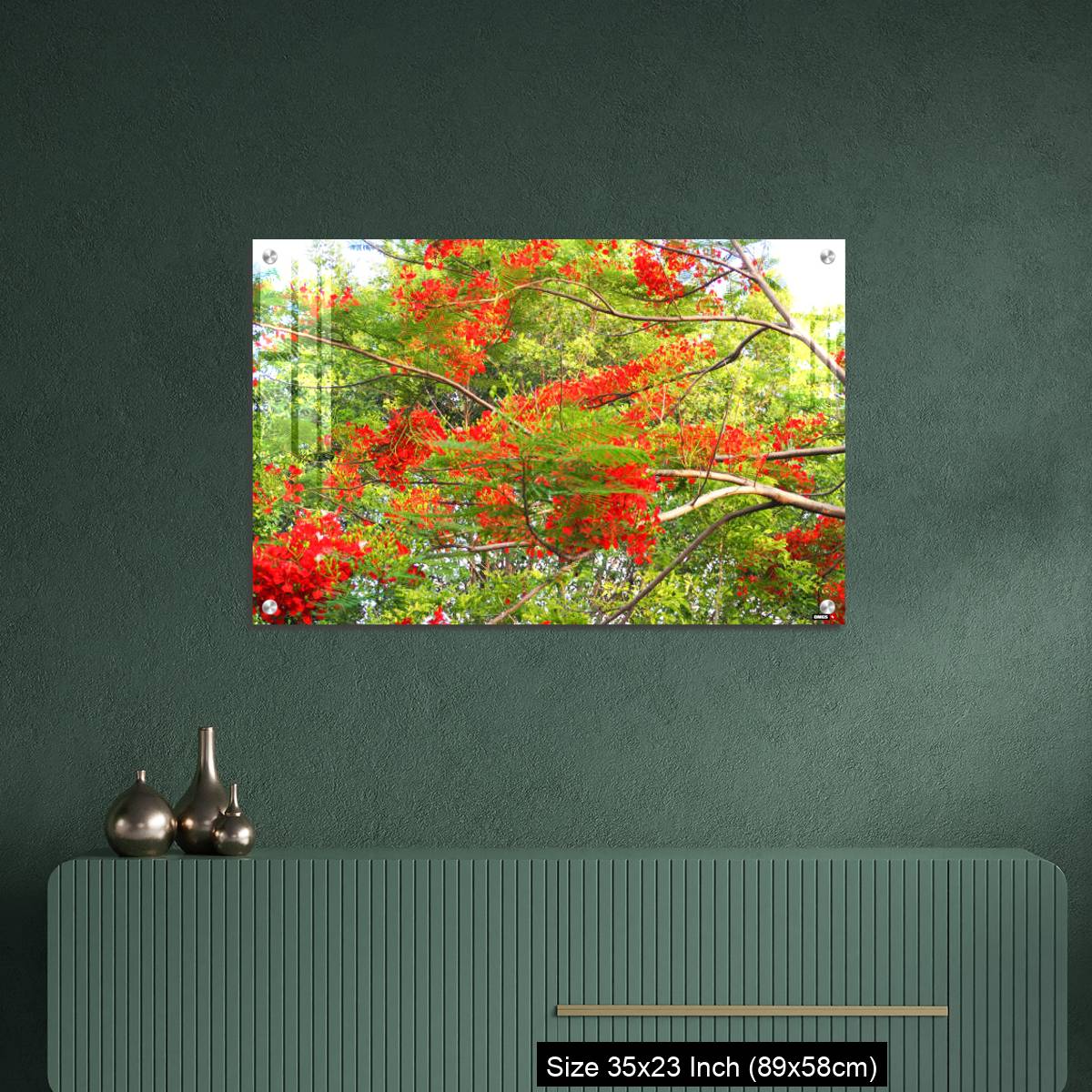 OMGs Acrylic Wall Decor – Beautiful of peacock flower with  blue sky background. - Image 9