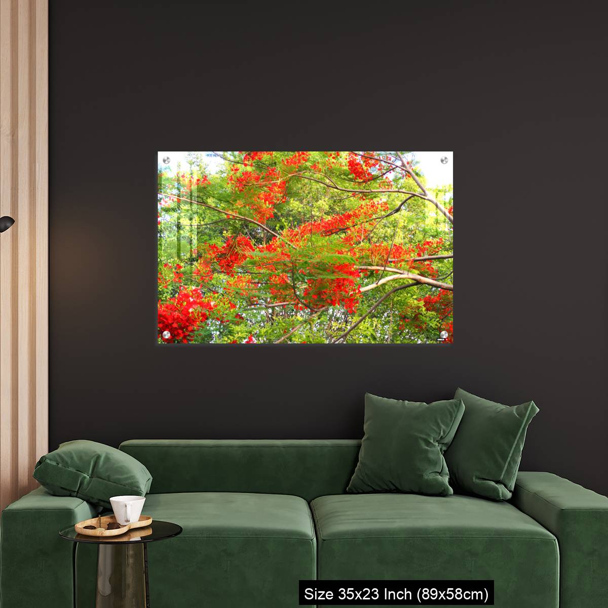 OMGs Acrylic Wall Decor – Beautiful of peacock flower with  blue sky background. - Image 11