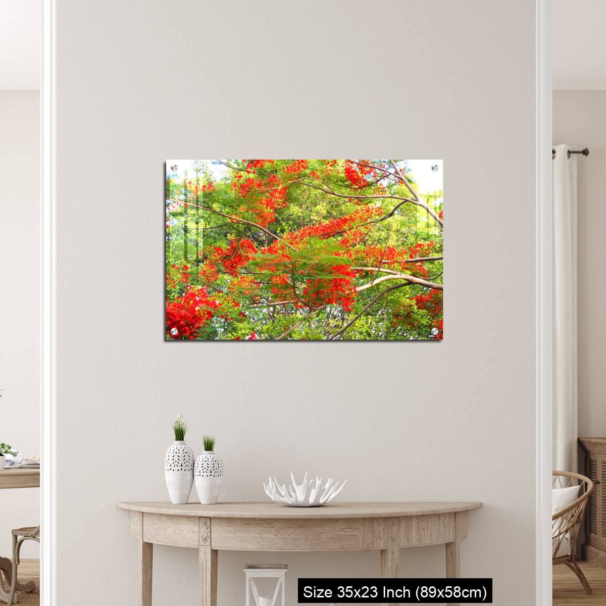 OMGs Acrylic Wall Decor – Beautiful of peacock flower with  blue sky background. - Image 12