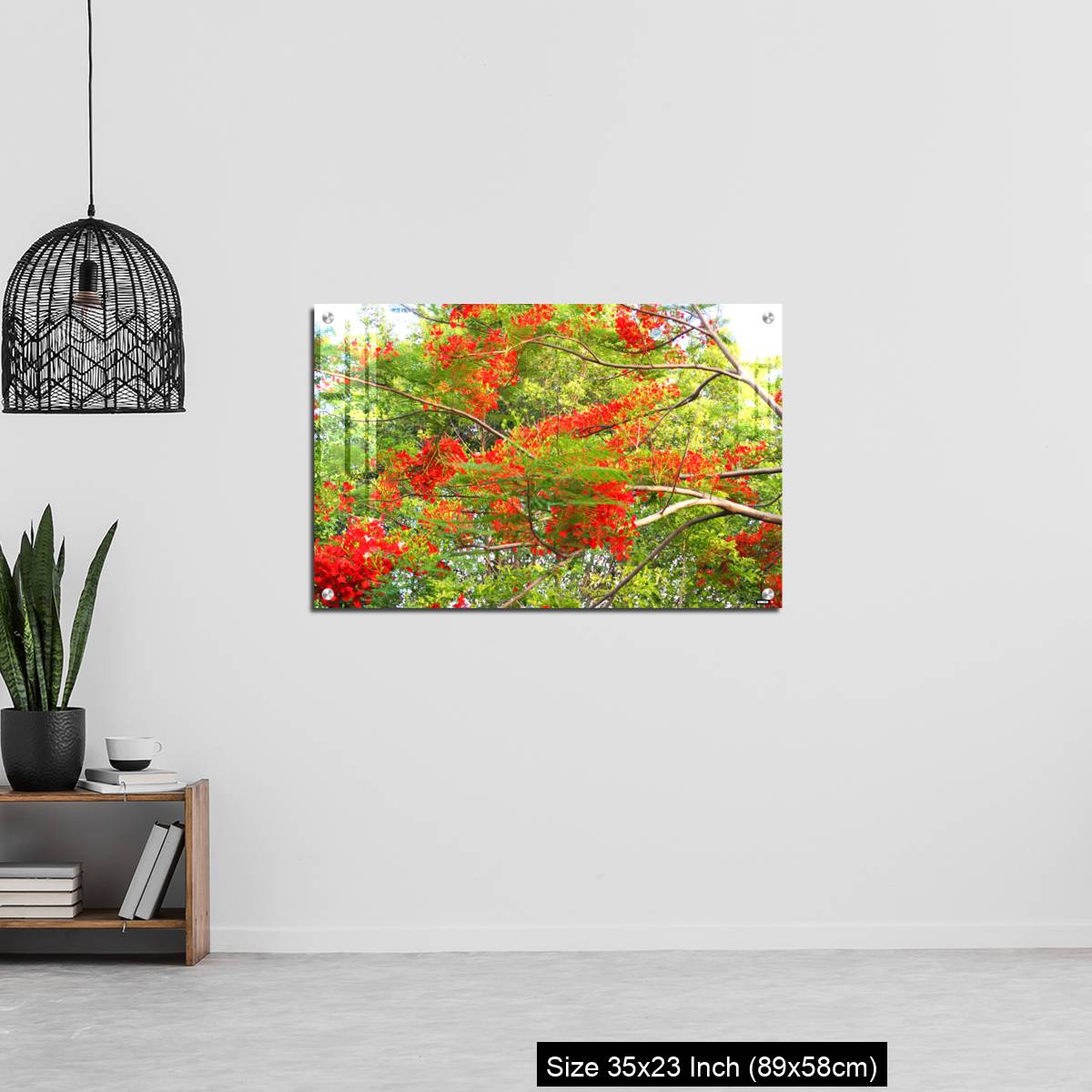 OMGs Acrylic Wall Decor – Beautiful of peacock flower with  blue sky background. - Image 13