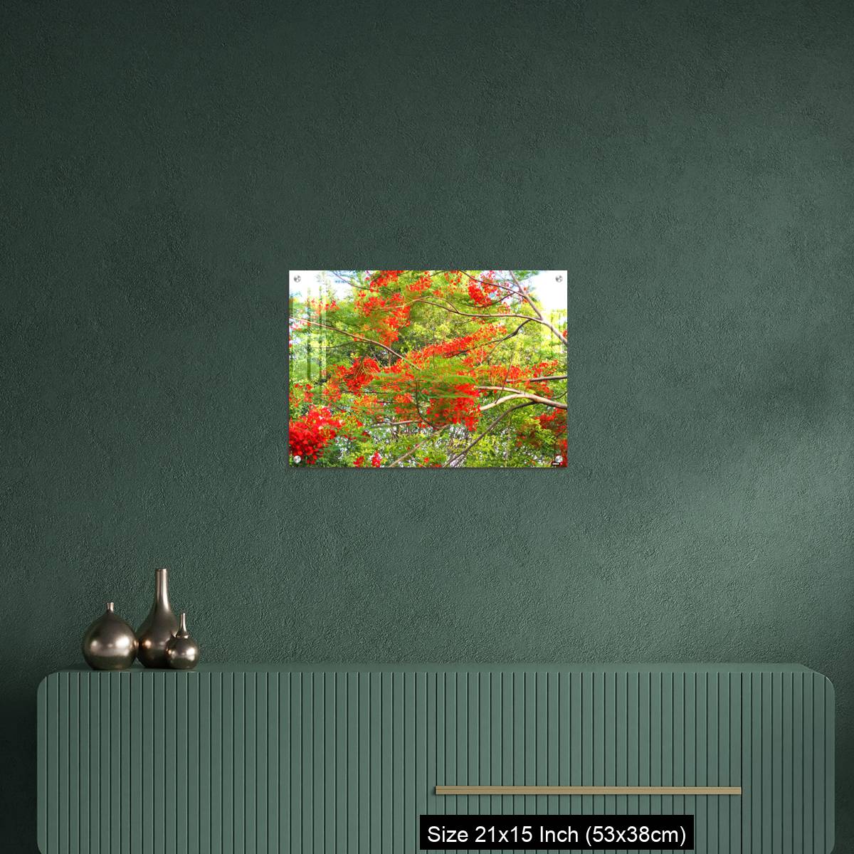 OMGs Acrylic Wall Decor – Beautiful of peacock flower with  blue sky background. - Image 16