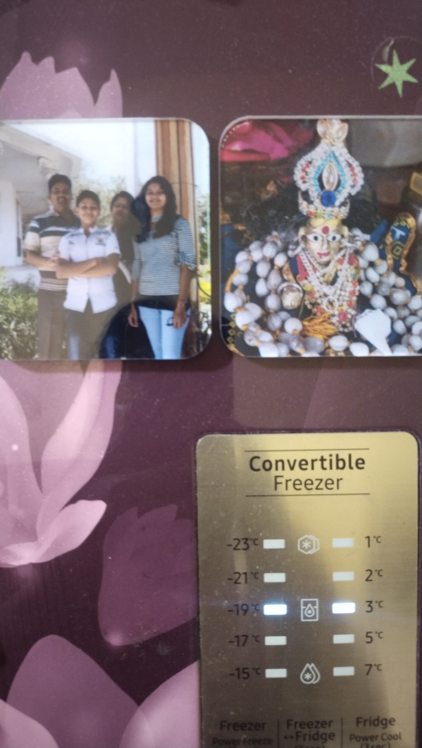 Special cart offer Fridge Magnet photo review