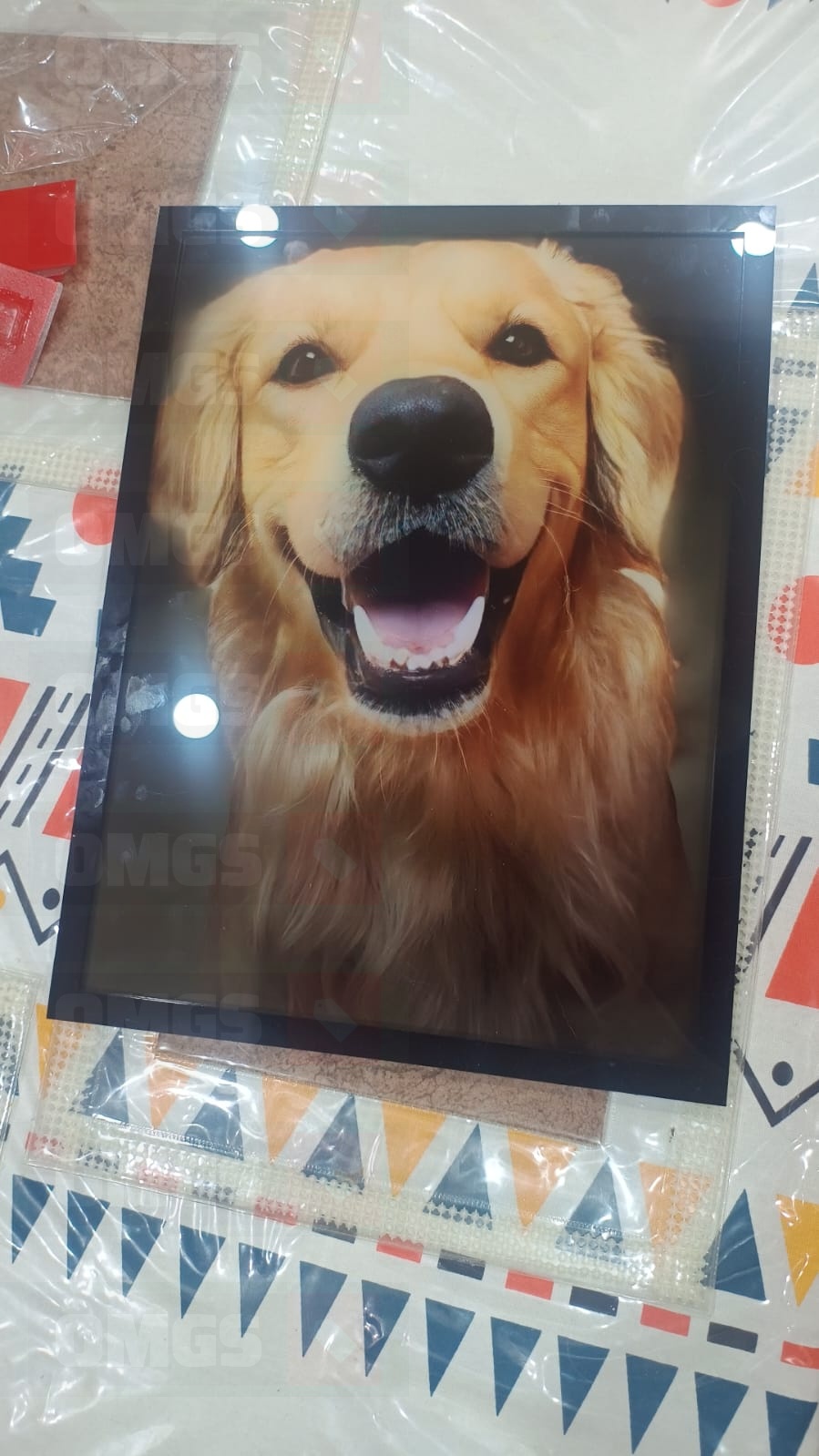 OMGs Premium Framed Acrylic Photo photo review