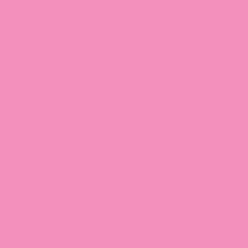 Pink Birthday Photo Album