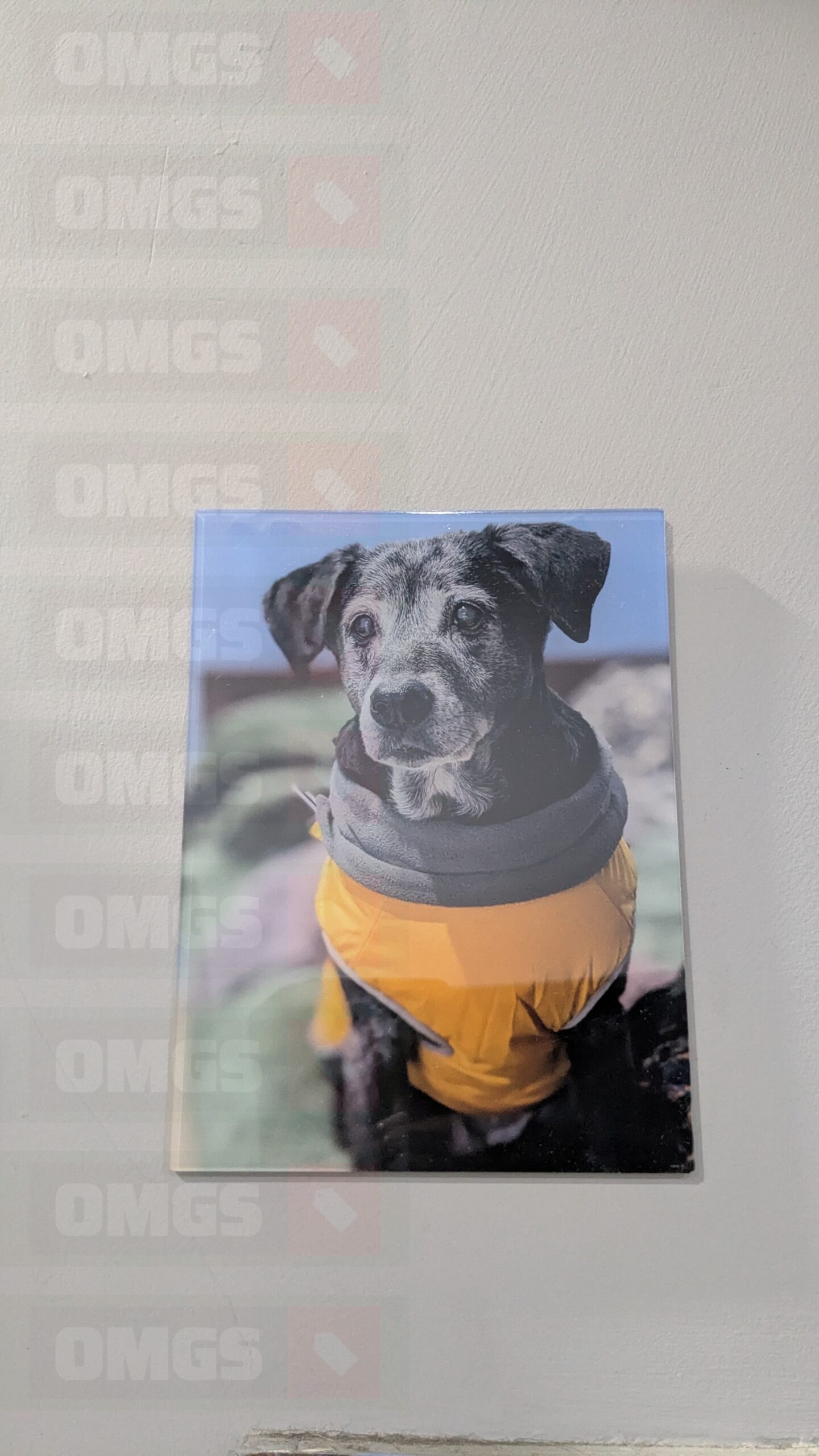 Customised Acrylic Photo Print photo review